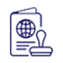 Visa-Documentation-icon